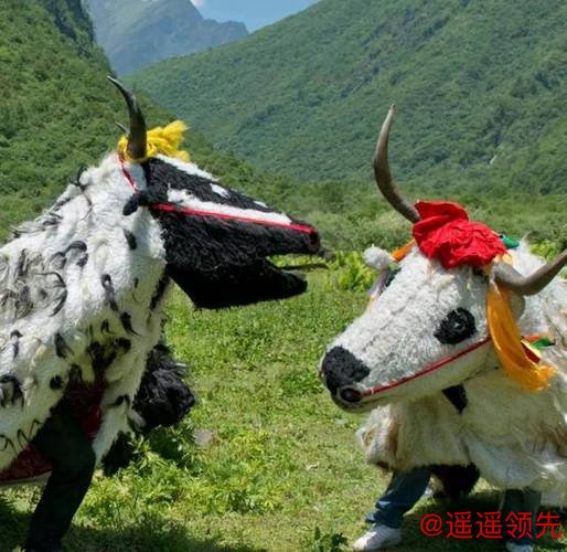 非遗四川 ｜平武虎牙藏族斗牦牛