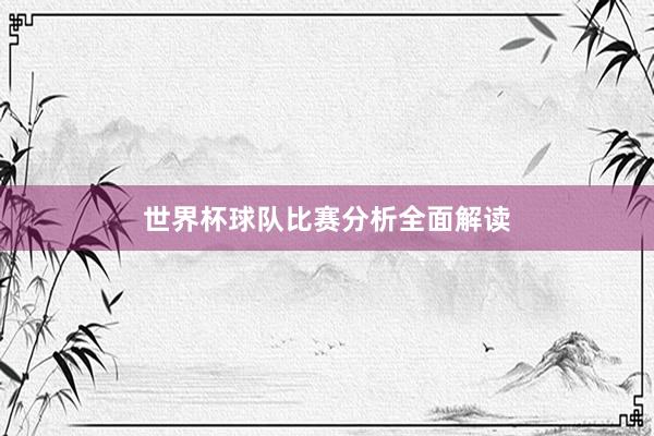 世界杯球队比赛分析全面解读
